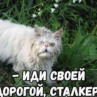 Заполонили! После сериала «Чернобыль» Припять наводнили инстаграм-блогеры. По геотегу встречаются даже полуобнажённые снимки