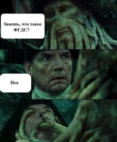 Всякое с ЗМ