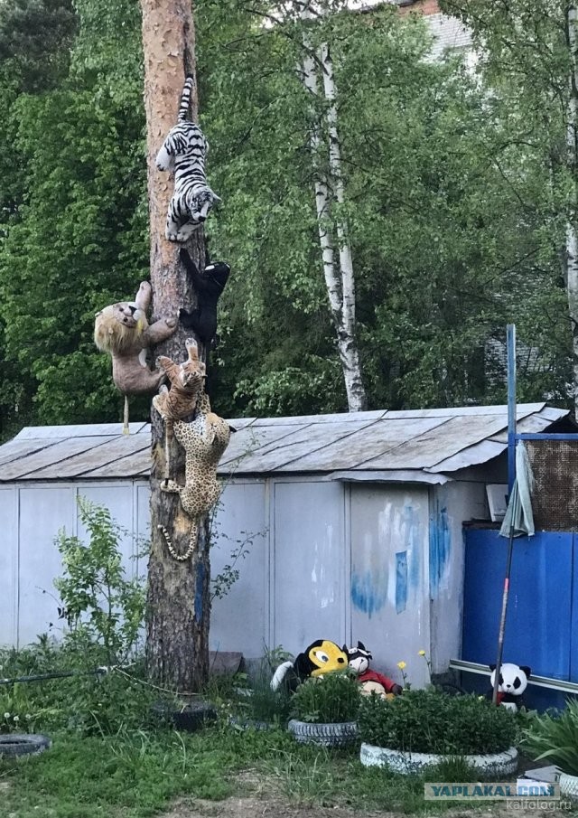 Россия изнутри