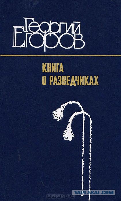 Плен