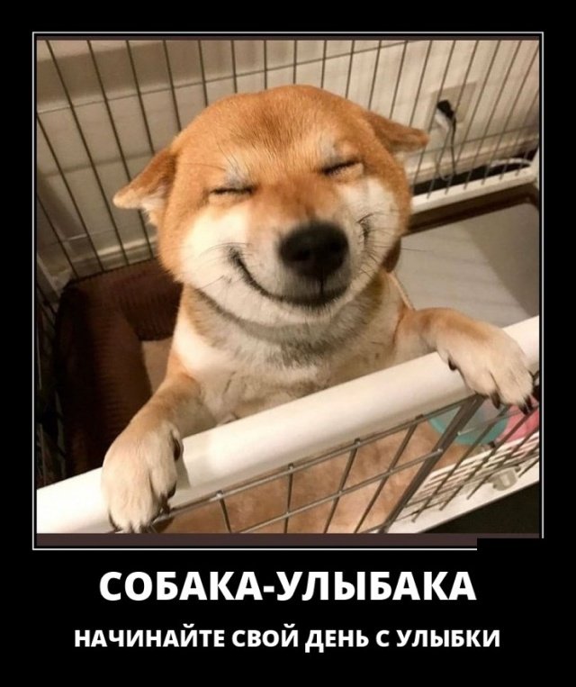 Прикольные и просто красивые картинки 02.10.2020