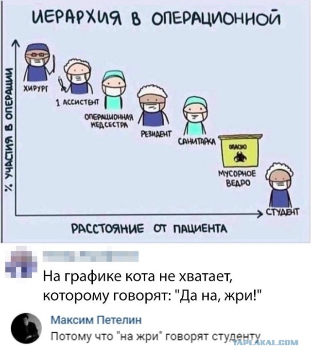 Юмор в картинках 29.11.20