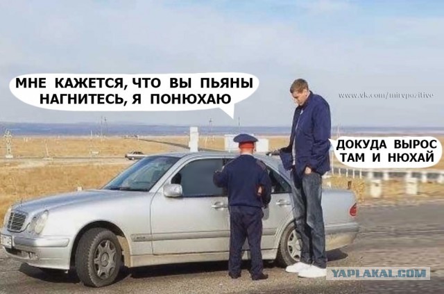 Мадам и месье, снова бонжур