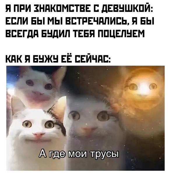 Весёлый полтишок 02.10