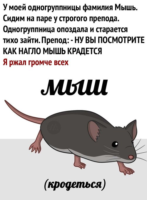 Что ищем, молодые люди?