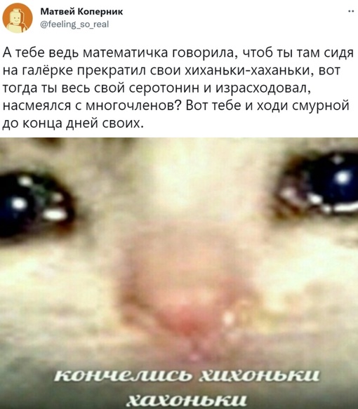 Картинки и мемы для настроения  -  9