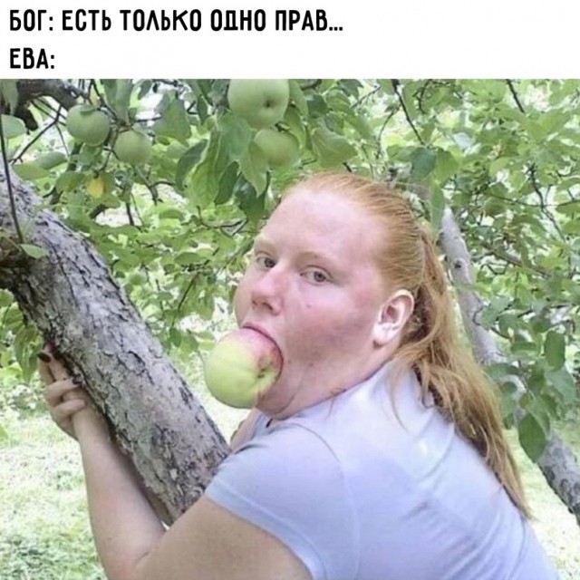 Как стать мудаком. Краткое руководство к действию