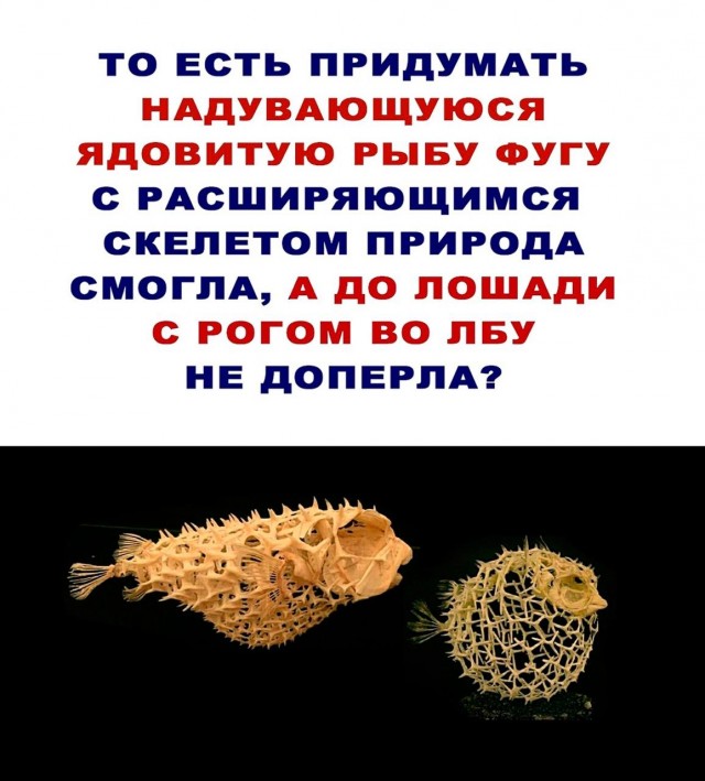 Отмена деградации V. Околонаучные картинки