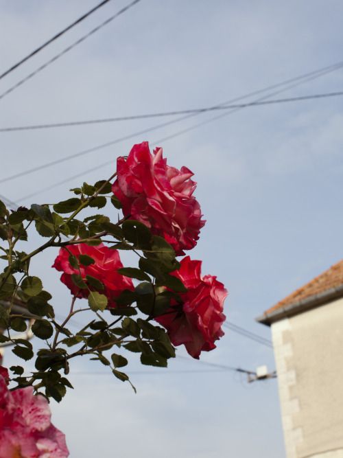 ФотоВинегрет
