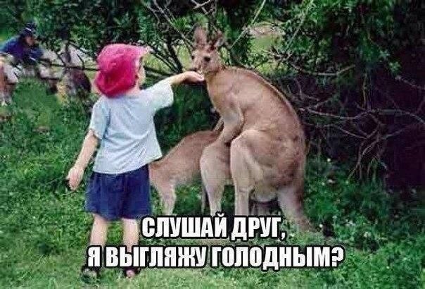 Завалялось тут случайно немного забавных картинок