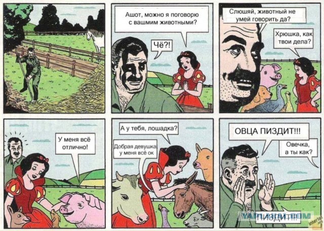 Так себе картинки 02.03.25