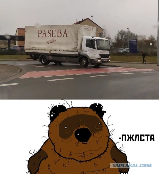 Написал подруге "спс" вместо "спасибо" и получил в ответ максимально душную инструкцию