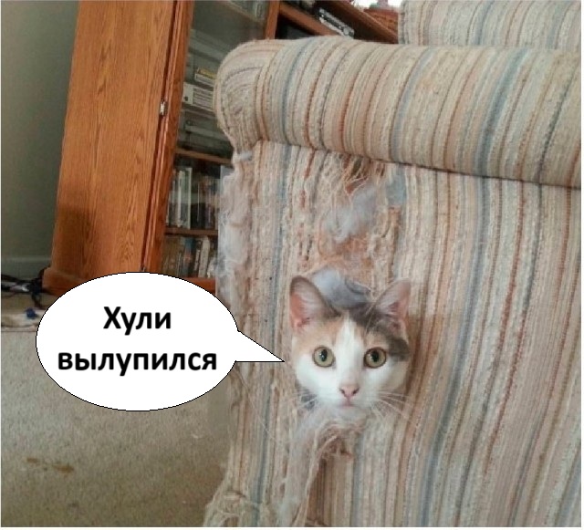 Так себе картинки 10.08.25