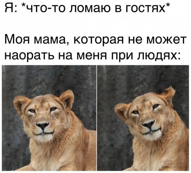 Жизненно, иногда черно, вобщем как попало