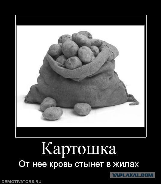 У последней черты.