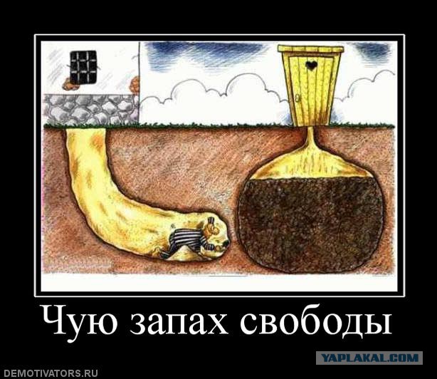 Украина и ЕС