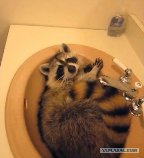 Давай к нам.