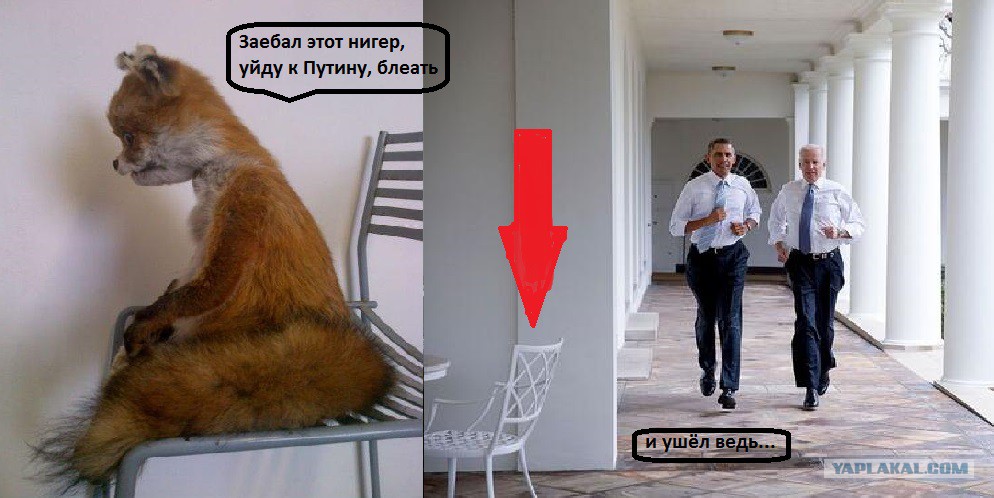 Заебала Эта Политика