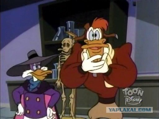 Боевые утки., Утки защитили потомство. Порадовало.