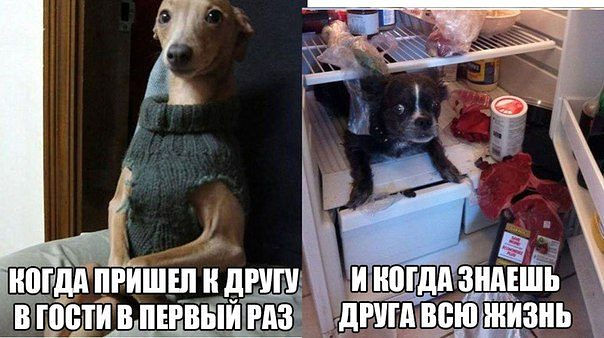 Веселые картинки.