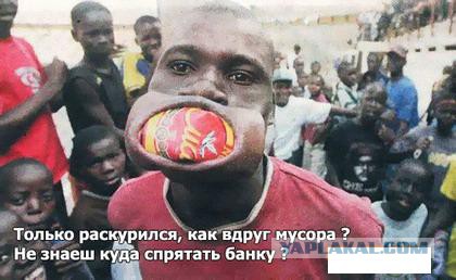 Подборка картинок