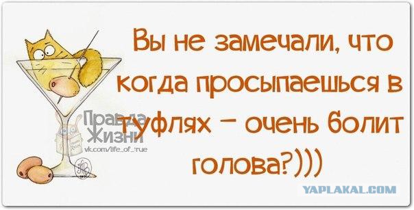 Смешные комментарии из социальных сетей 15.11.14