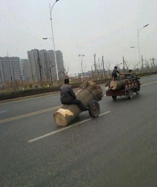 Весёлые картинки