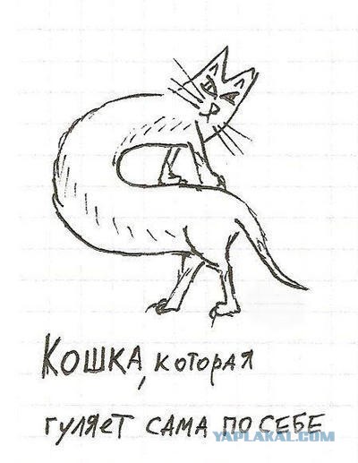 Кошка, которая гуляет сама по себе