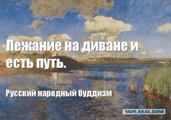 Холостяцкая жизнь