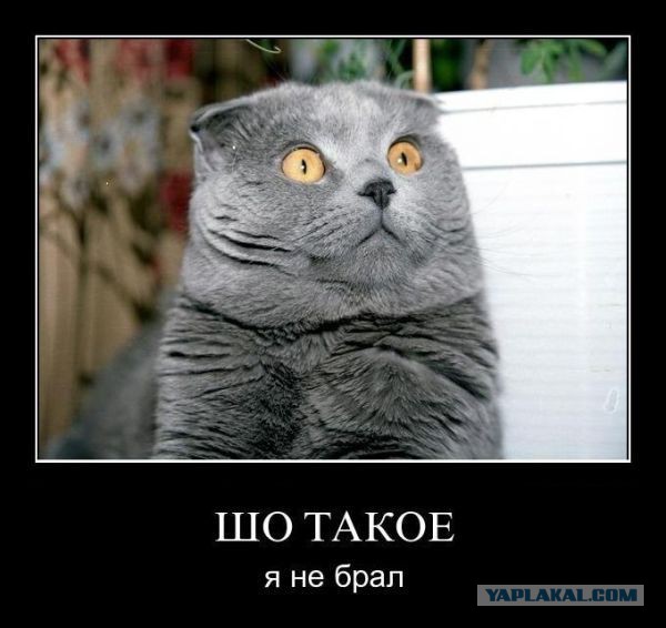 А поутру они проснулись...
