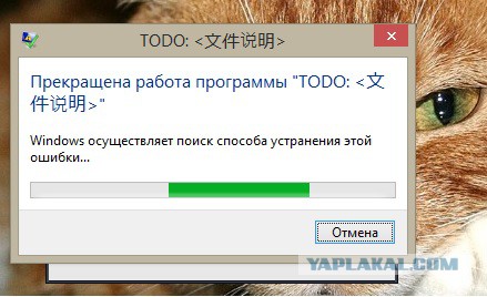 За что я люблю китайцев