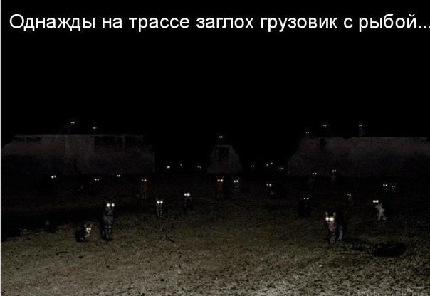Картинки и демотиваторы