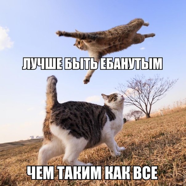 Картинки и демотиваторы