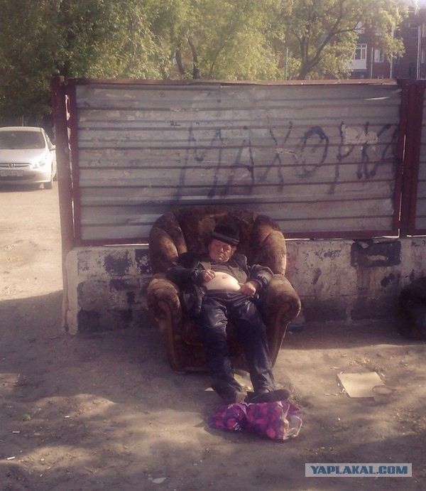 Весёлые картинки