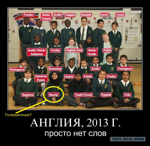 Весёлые картинки