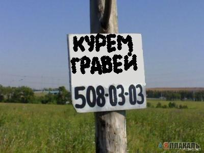 ВЫВЕСКИ, ТАБЛИЧКИ. Смешные и прикольные
