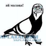 "Кассир Года"! Девушка украла 20 миллионов рублей