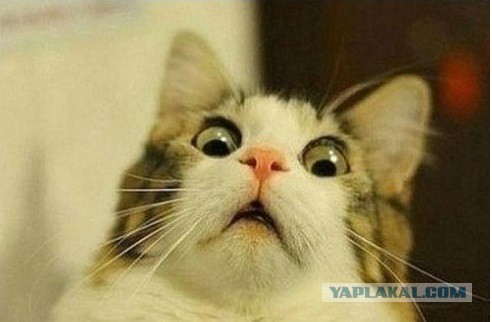 Люди из социальных сетей