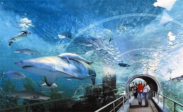Картинки для отдыха глаз