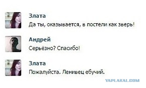 Прикольные картинки из интернета