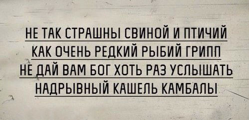 Всячина. Картинки и тексты картинками.