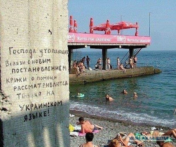 38 картинок