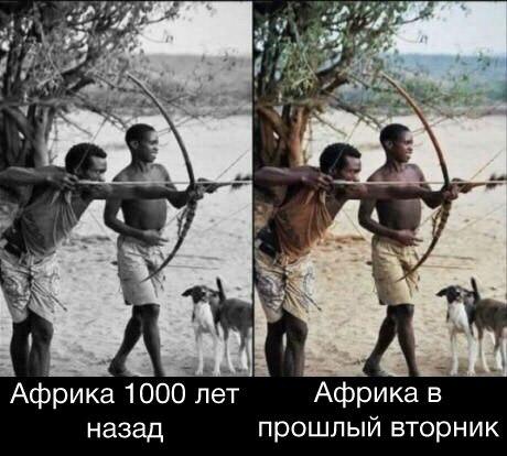 Деградации ЯПу от Креизи
