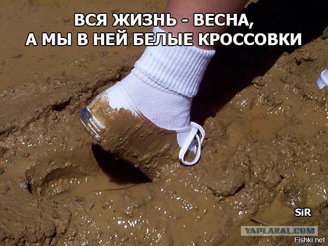 Японские кроссовки - мечта Анатолия Вассермана