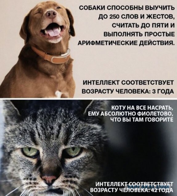 Картинки