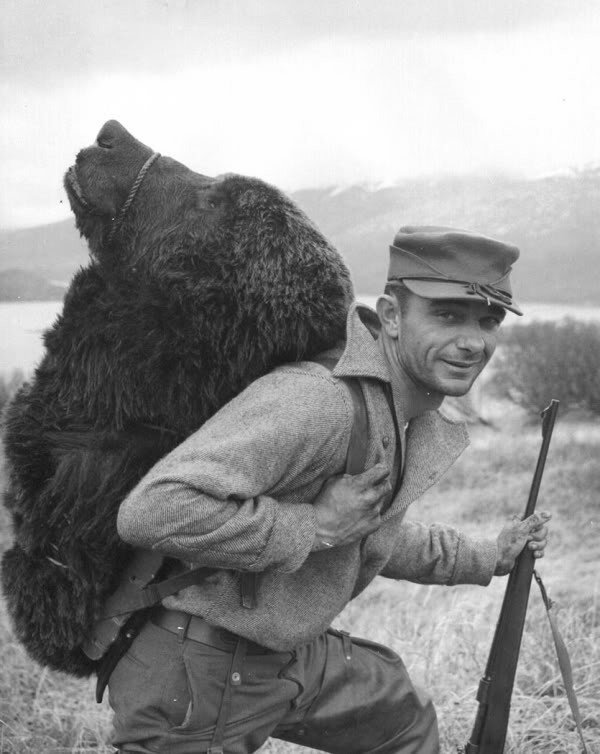 С праздником весенней деградации!