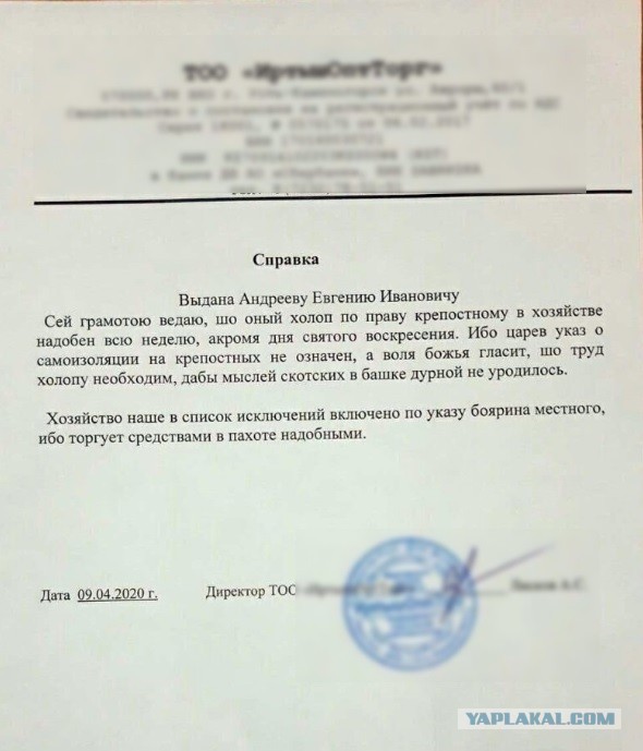 Зх, как могём, а могём мы много. 13 шт.
