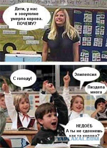 На уроке биологии