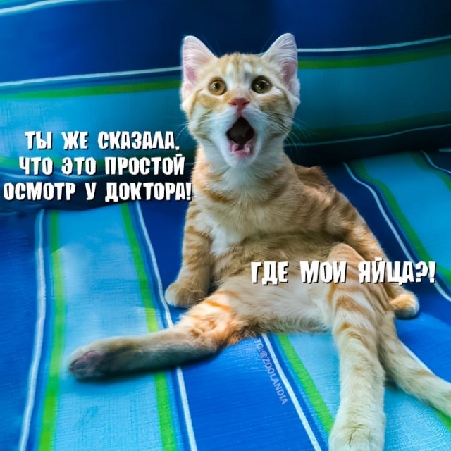 Проституткопятнице посвящается