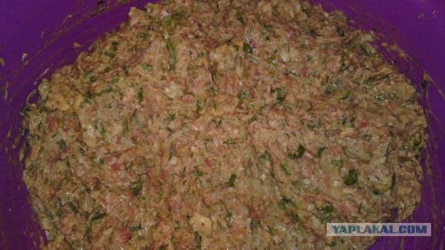 Пятничные посиделки на теплотрассе ©